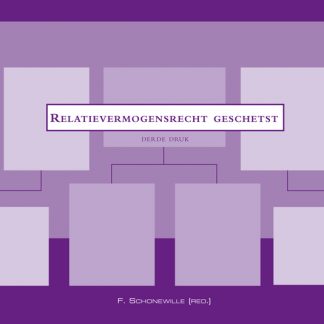 Relatievermogensrecht geschetst